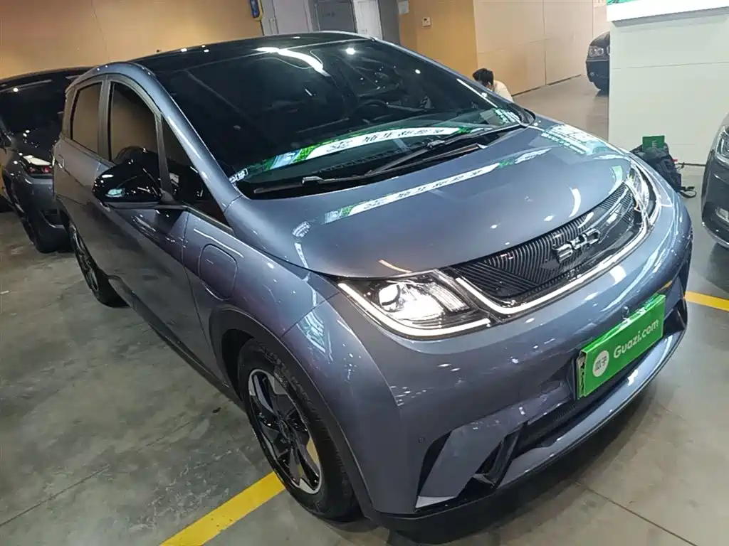 BYD Dolphin 2024 Glory Edition 420km Fashion Edition фото 4