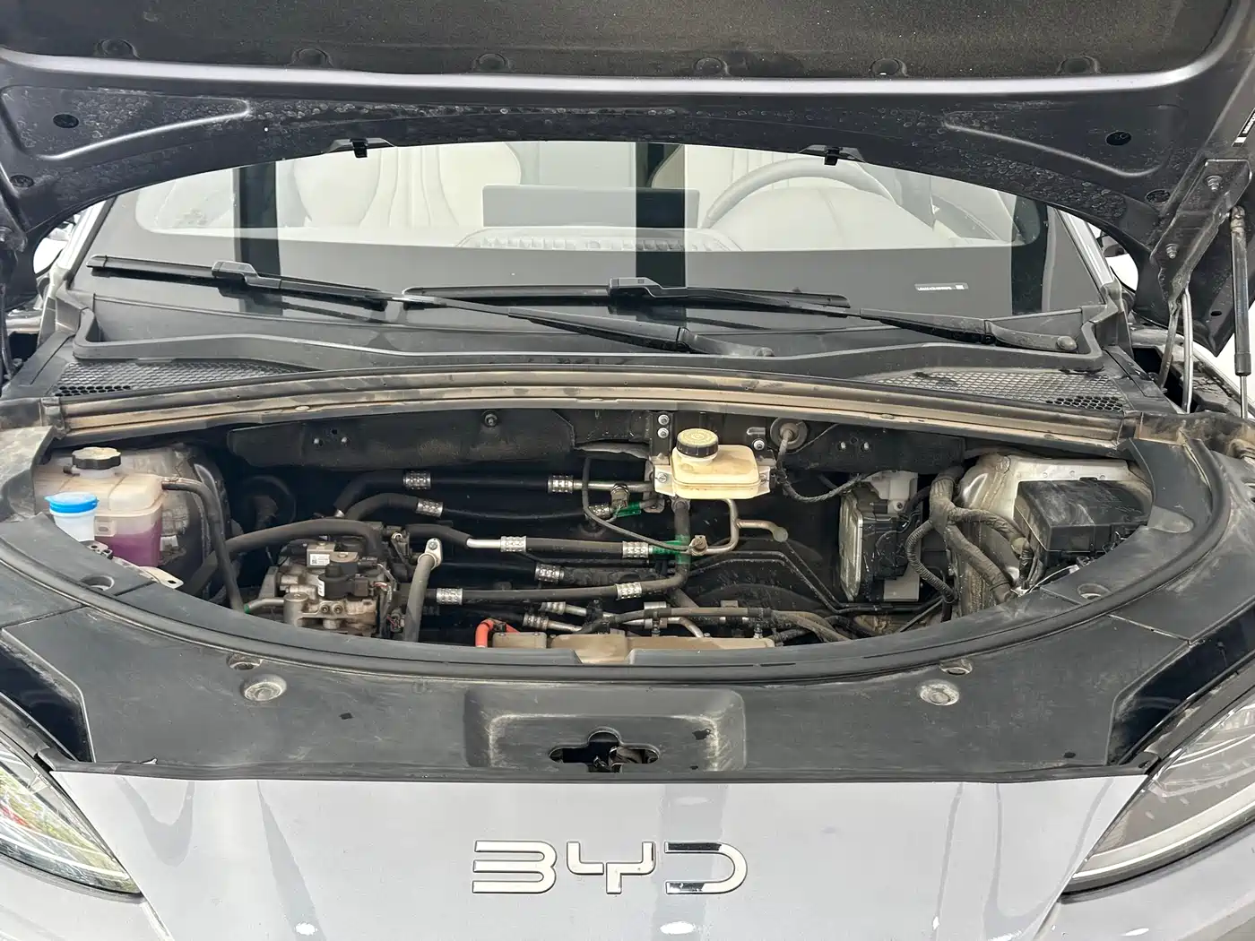 BYD SONGJIANG NEW ENERGY