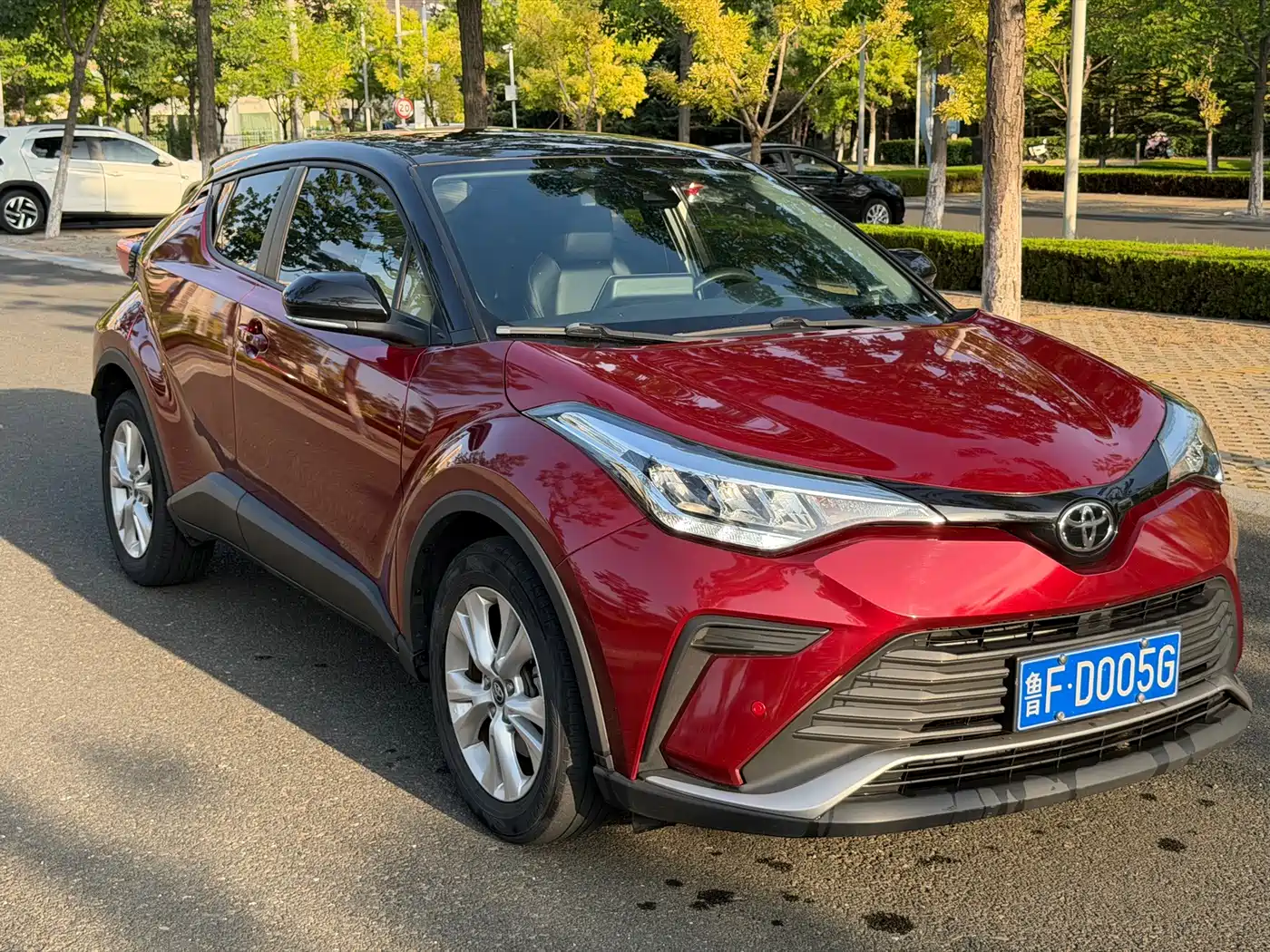 Toyota IZOA 2021 2021 2.0L Yichi Edition