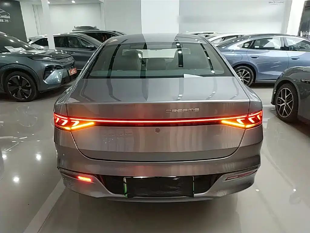 BYD Qin PLUS 2023 Champion Edition DM-i 120KM Excellence фото 6