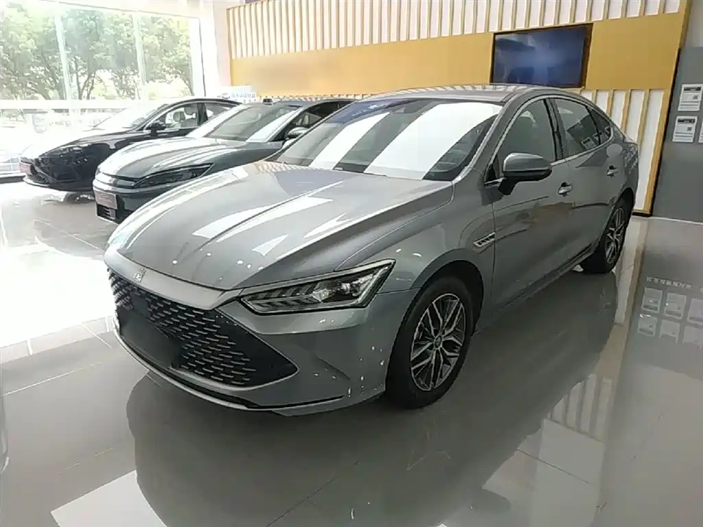 BYD Qin PLUS 2023 Champion Edition DM-i 120KM Excellence фото 2