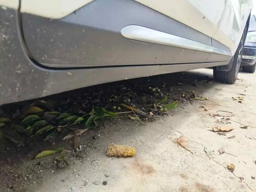Kia Carnival 2022 2021 2.0T Luxury Tech Edition