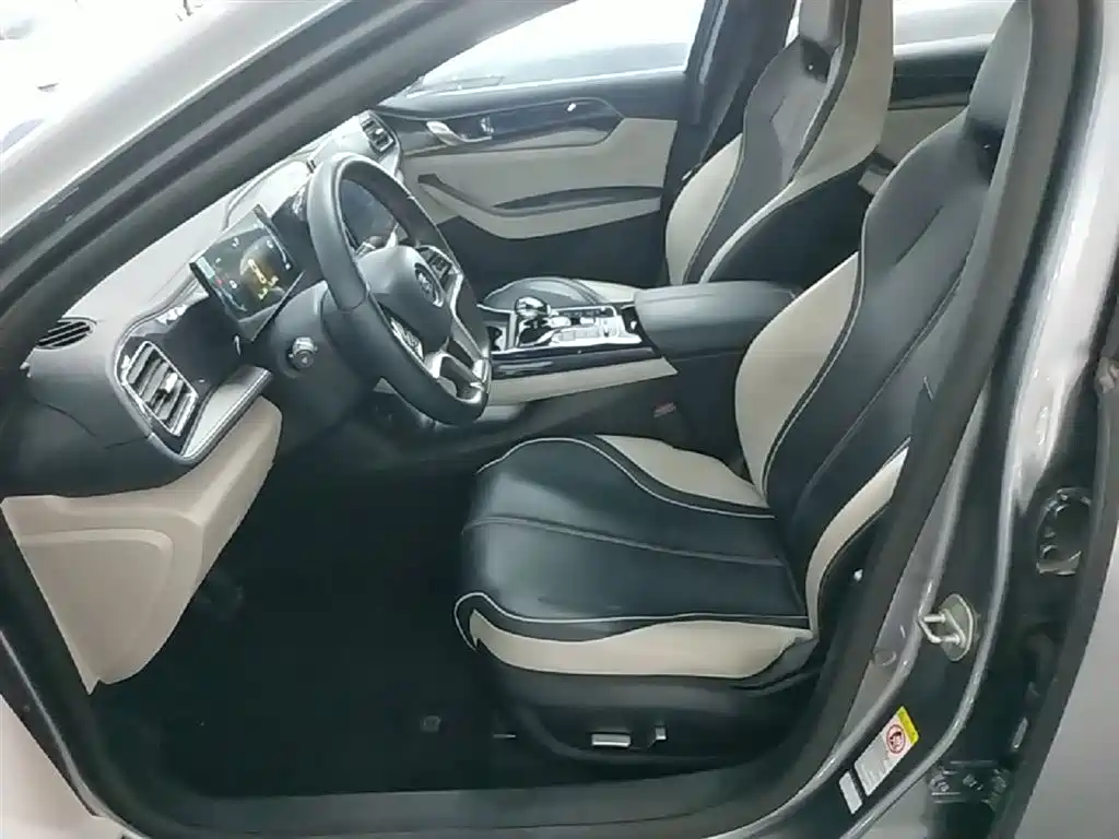 BYD Qin PLUS 2023 Champion Edition DM-i 120KM Excellence фото 15