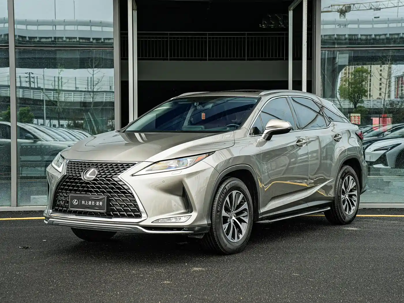 LEXUS RX