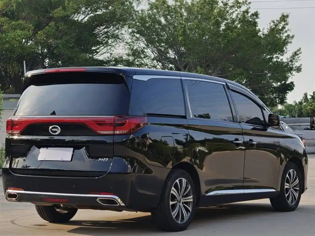 GAC Trumpchi Trumpchi M8 2019 320T Ultimate Edition фото 6