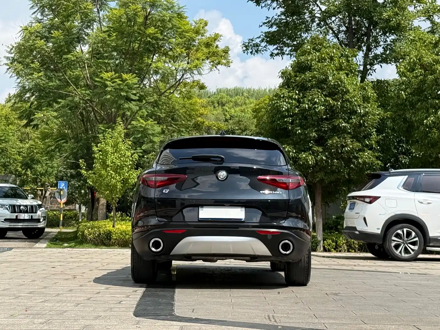 Alfa Romeo Stelvio 2019 2017 2.0T 200HP Luxury Edition