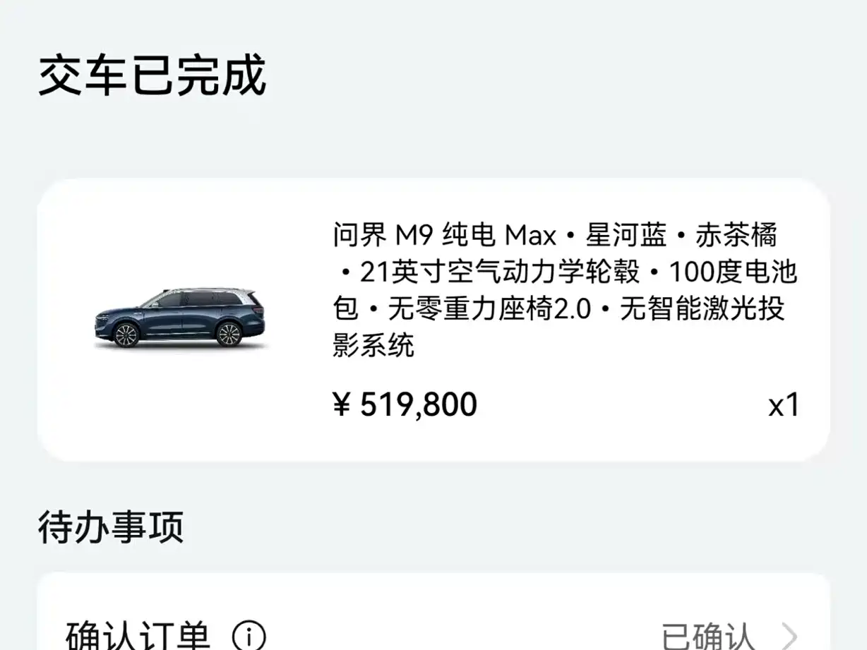 AITO Wenjie AITO M9 2024 Pure Electric Max Edition 100kWh 6-Seater фото 29