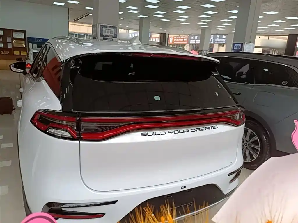 BYD Tang New Energy 2021 DM-i 112KM Honor фото 6