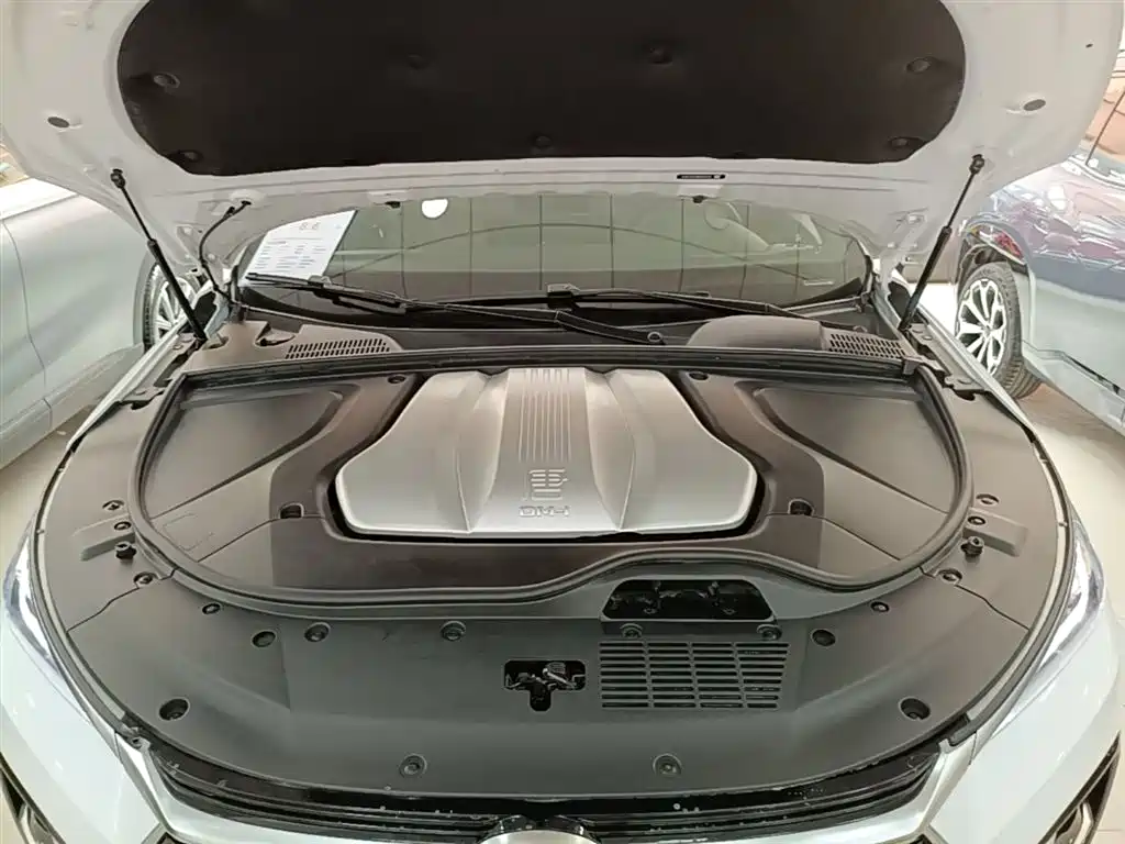 BYD Tang New Energy 2021 DM-i 112KM Honor фото 20