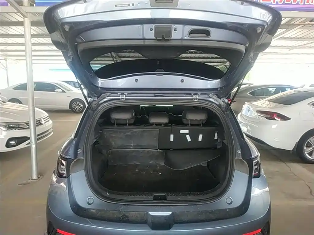 BYD Dolphin 2025 Smart Drive Edition 410km Fashion Version фото 19