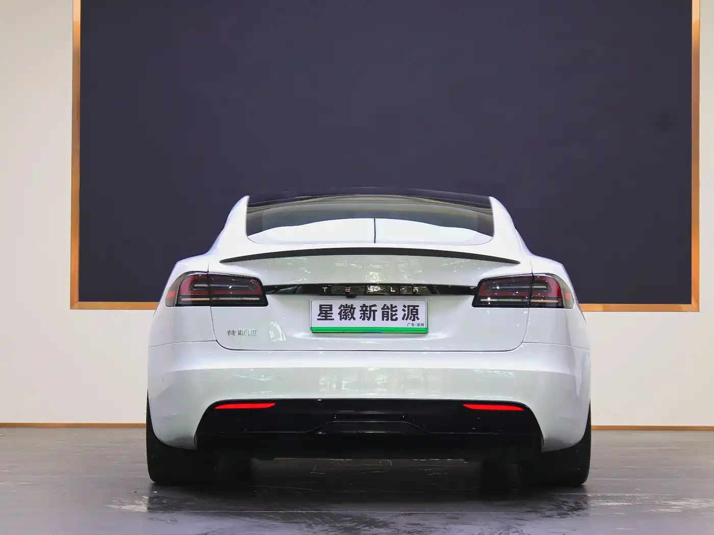 Tesla Model S 2023 Tri-motor AWD Plaid фото 18