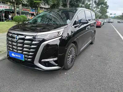 Denza D9
