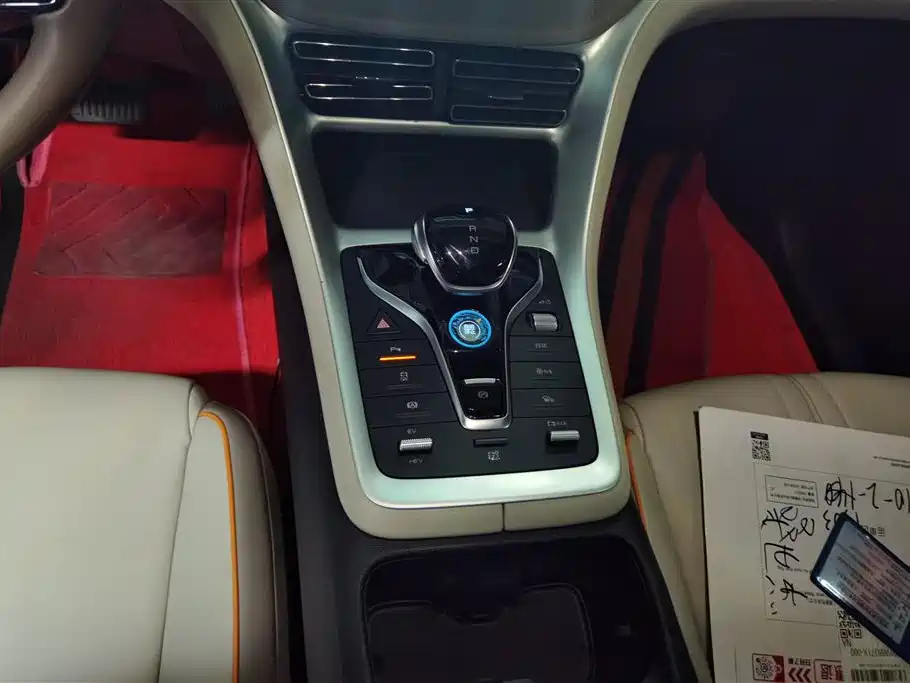 BYD Song Pro New Energy 2024 Glory Edition DM-i 71KM Pilot фото 16