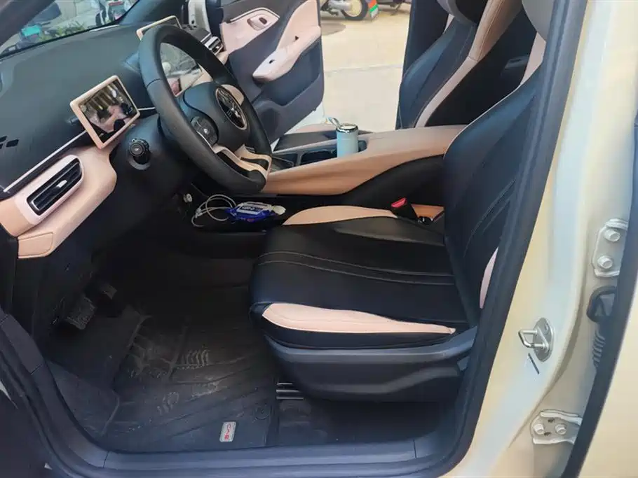 BYD Seagull 2024 Glory Edition 305km Vitality Edition фото 9