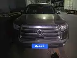 Photo 2 - Great Wall Pao