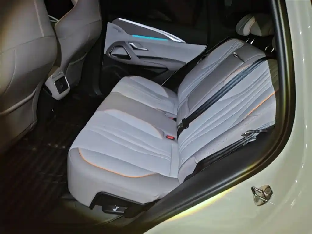 BYD Song Pro New Energy 2023 Champion Edition DM-i 110KM Excellence фото 17