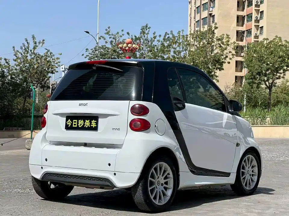 smart fortwo 2013 2013 1.0T Hardtop Ice Special Edition