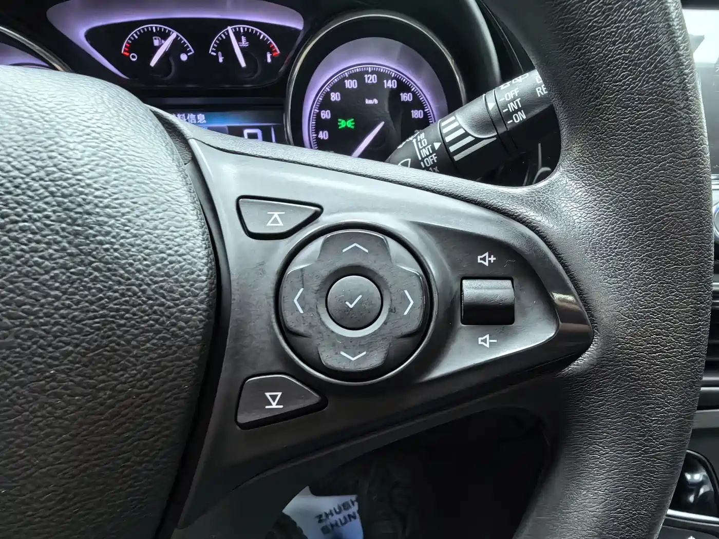 Buick Envision Plus 2019 20T FWD Leading Model China VI фото 9