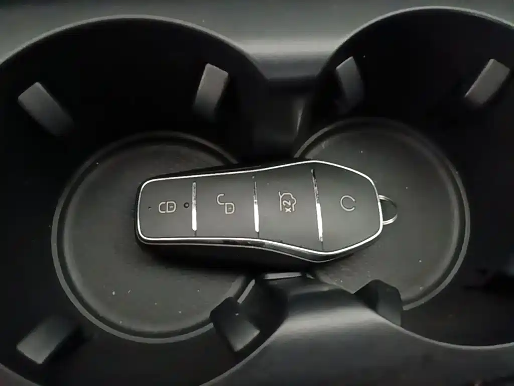 BYD Destroyer 05 2024 Glory Edition DM-i 55KM Luxury фото 9