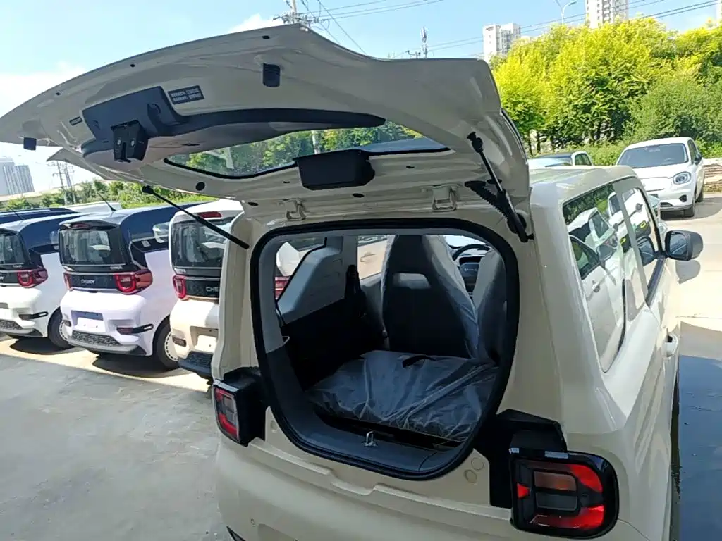 Geely Galaxy Panda 2026 2025 Panda mini 210km Vitality Bear