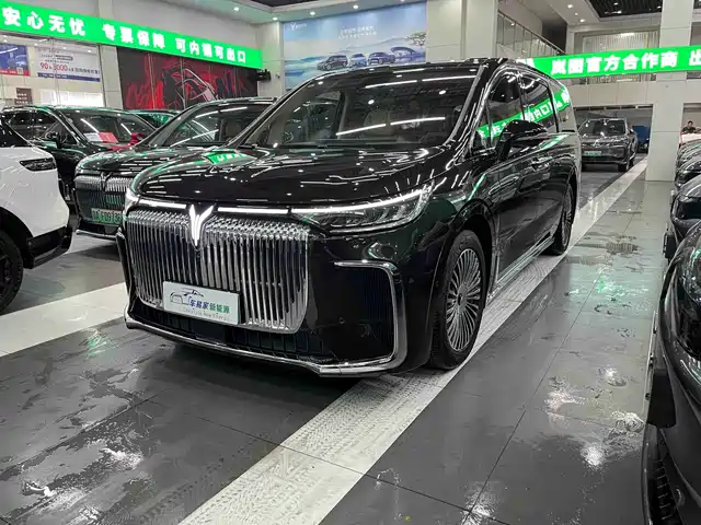Voyah Auto Voyah Dreamer 2024