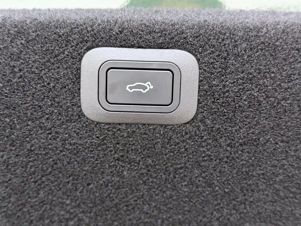 Geely Galaxy Galaxy Xingyao 8 2025 130km EM-P Starship Edition фото 29