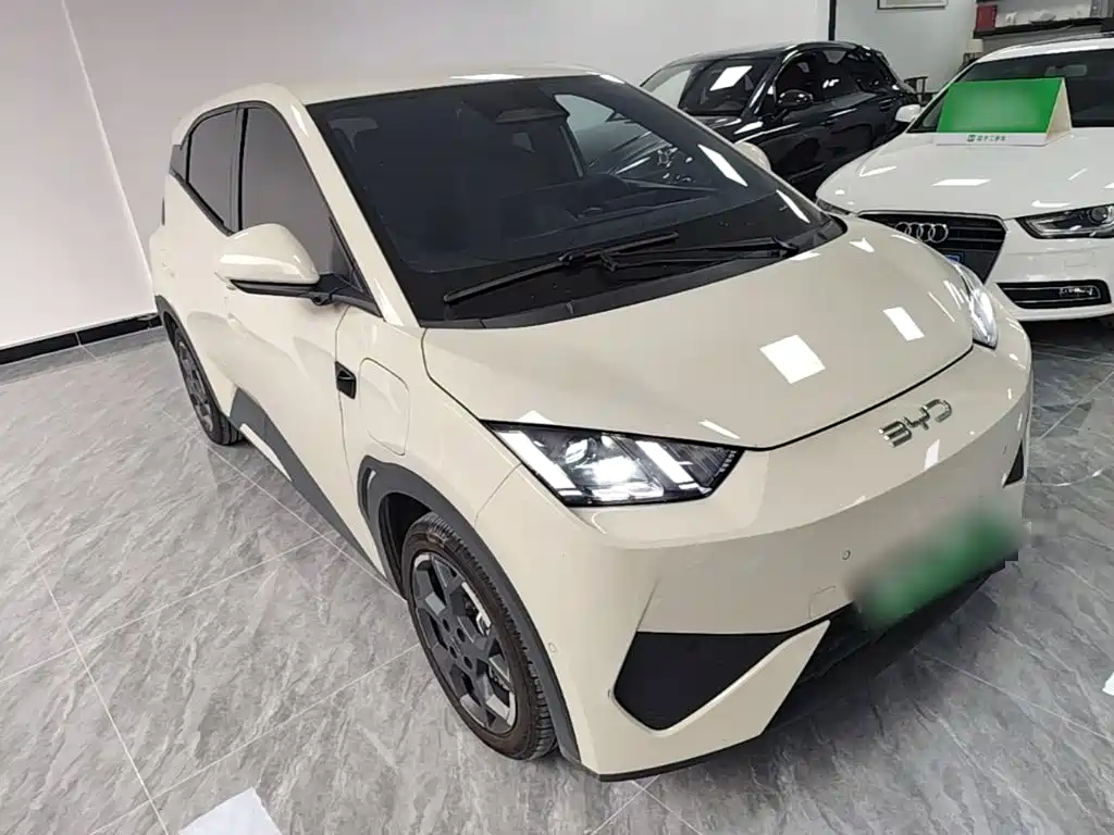 BYD Seagull 2026 2025 Smart Drive Edition 305km Freedom Version