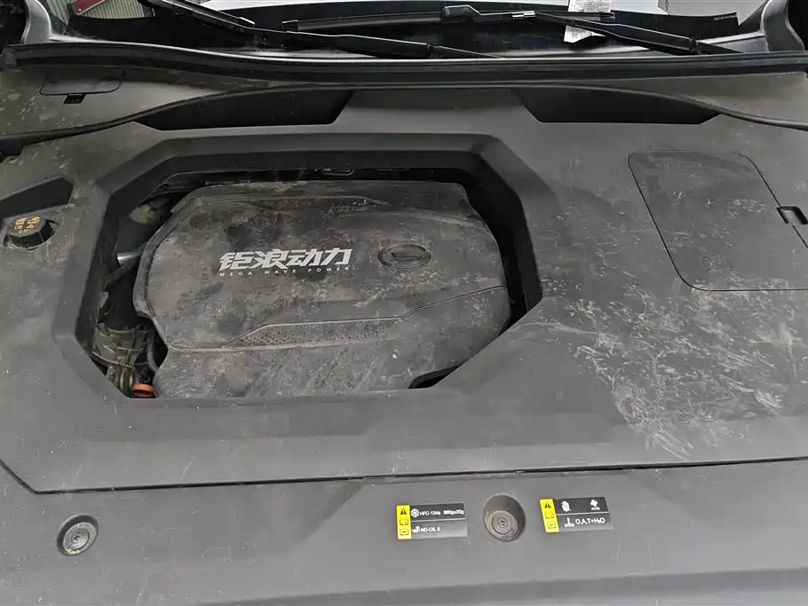 GAC Trumpchi Trumpchi GS8 2022 Pilot Series 2.0TGDI 2WD Premium Edition (6-Seater) фото 10