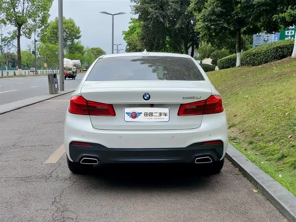 BMW 5 Series 2020 530Li Exclusive M Sport Package фото 5