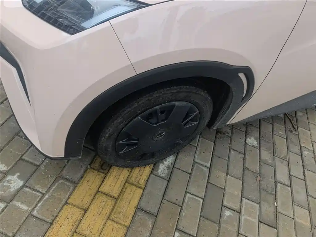 BYD Seagull 2023 Vitality Edition фото 23