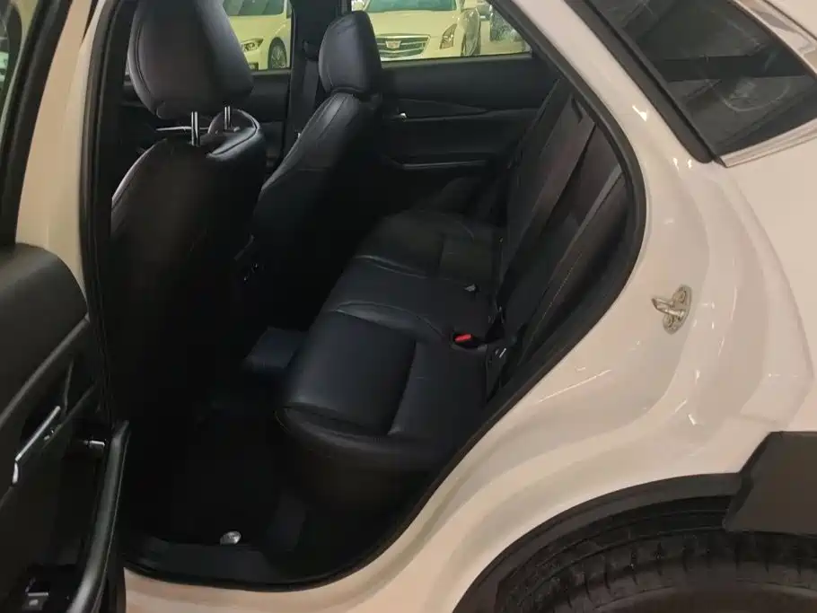 Mazda CX-30 2022 2021 2.0L Auto Elegant Joy Type