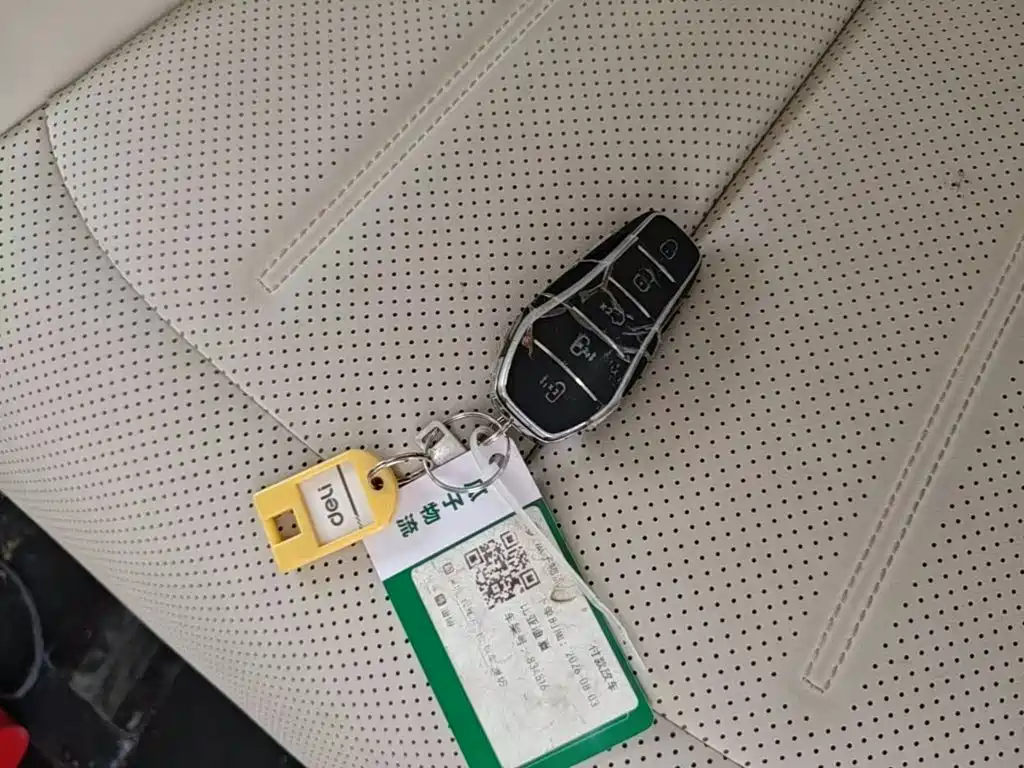 BYD Xia 2025 2025 DM-i 1.5T 180km Surpass Edition