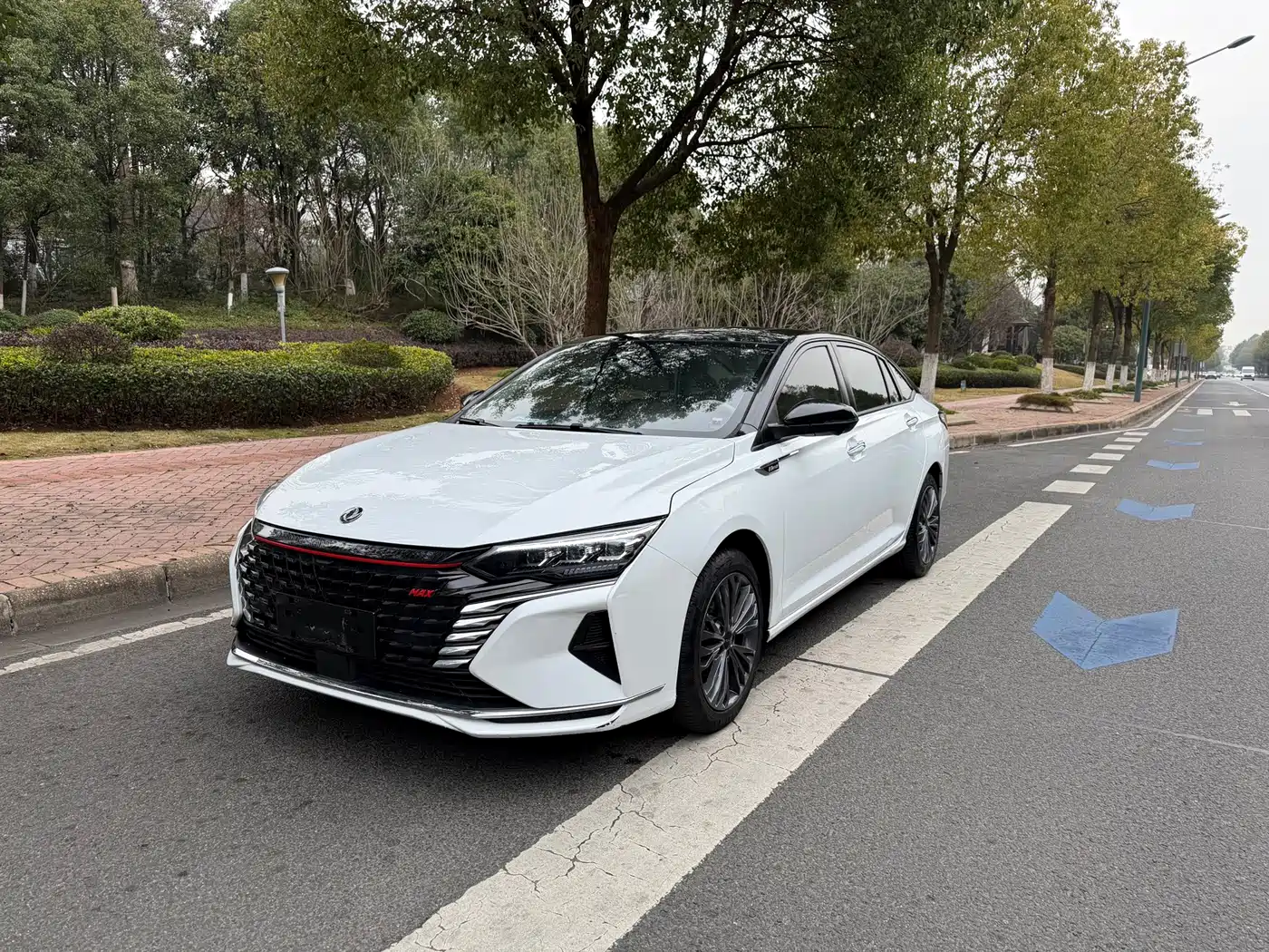 Dongfeng Aeolus Yixuan MAX 2023 2023 1.5T Extraordinary Cool Dad Edition