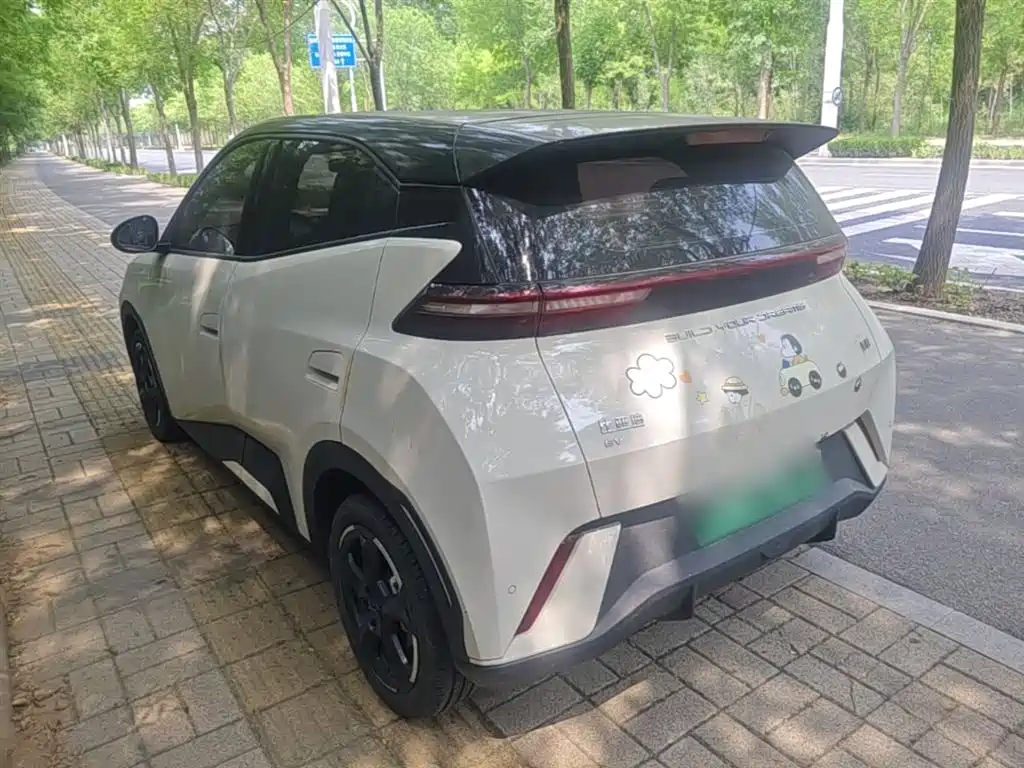 BYD Seagull 2024 Glory Edition 305km Freedom Edition фото 5