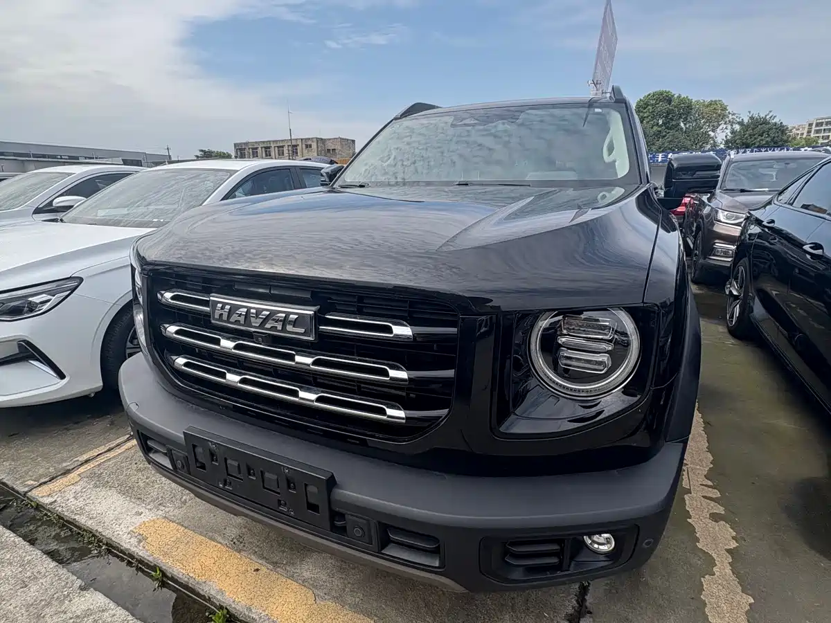 HAVAL BIG DOG
