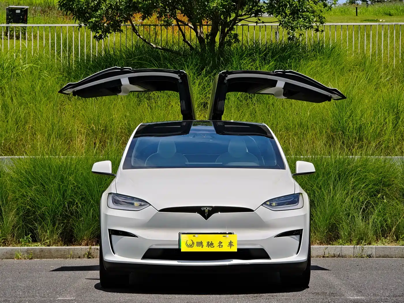 Tesla Model X 2023 Tri-motor AWD Plaid