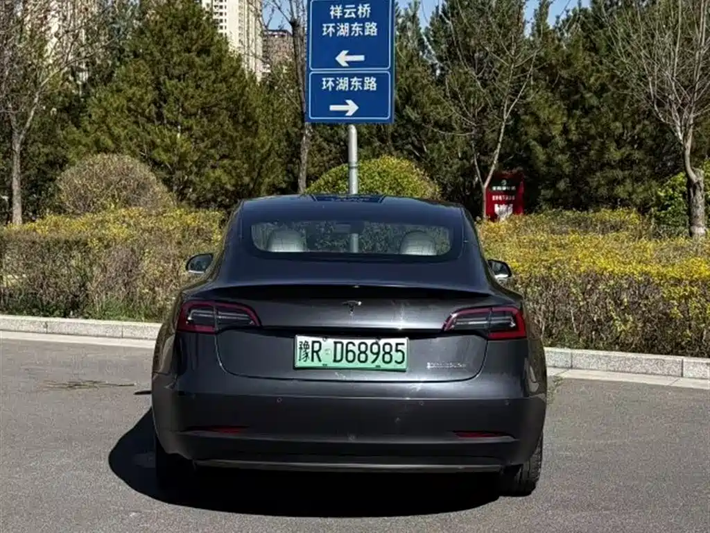 TESLA MODEL 3 (IMPORTED)