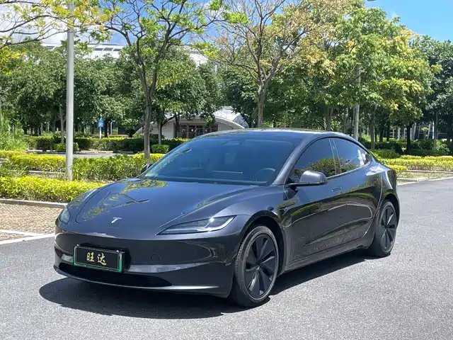 Tesla Model 3 2023 Rear-Wheel Drive