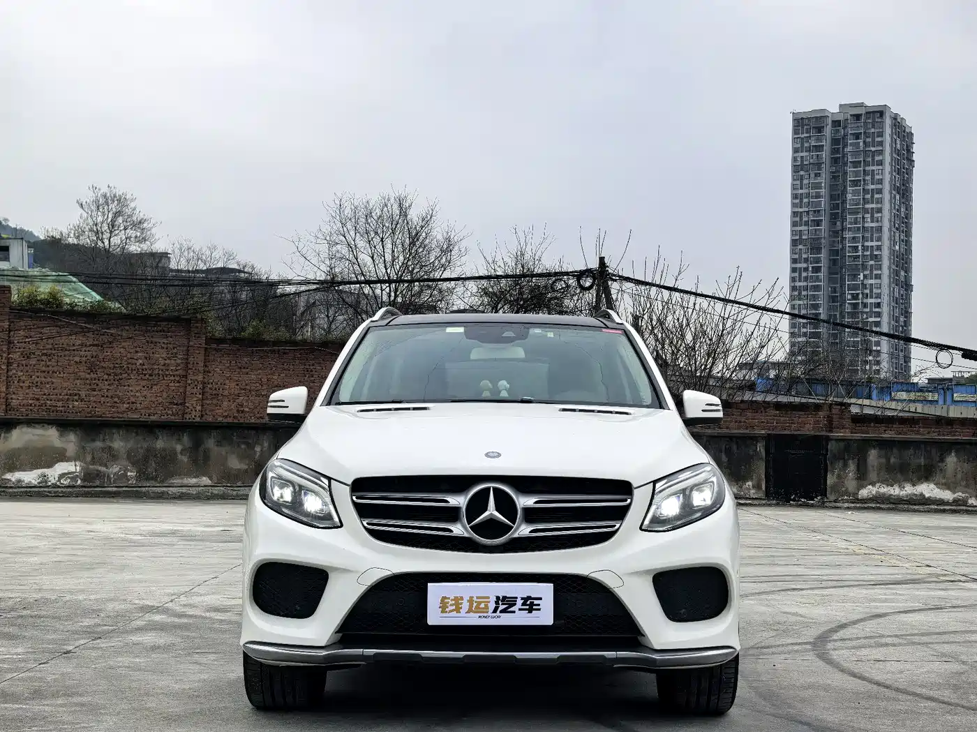 Mercedes-Benz GLE 2017 GLE 320 4MATIC Dynamic фото 6