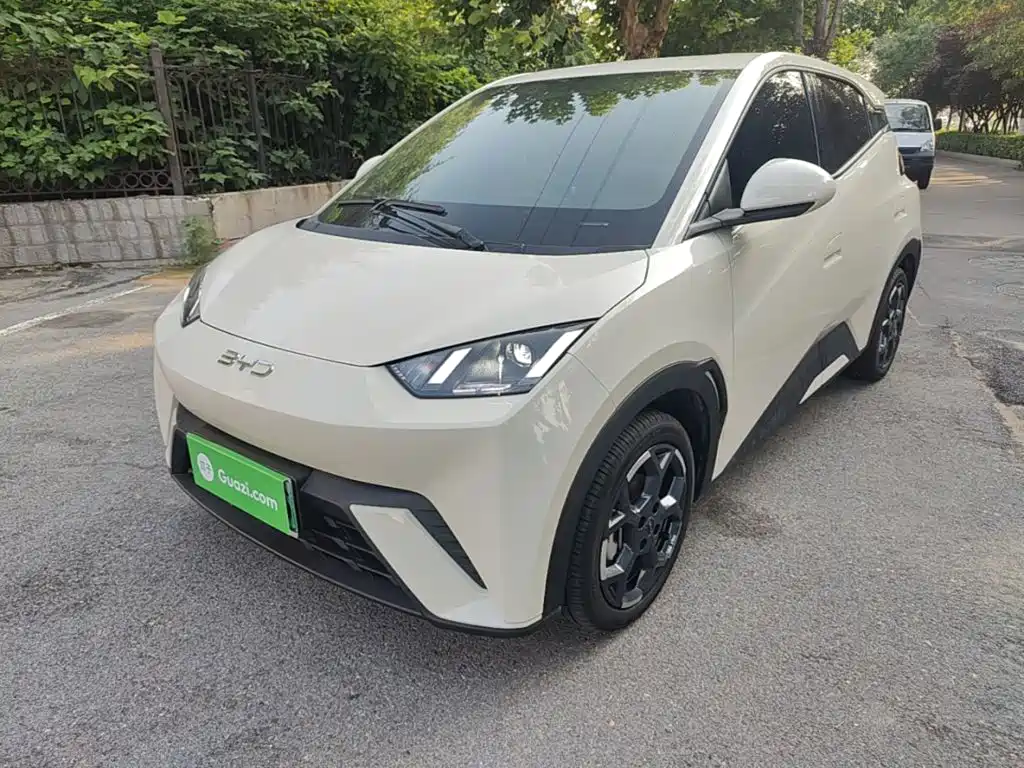 BYD Seagull 2024