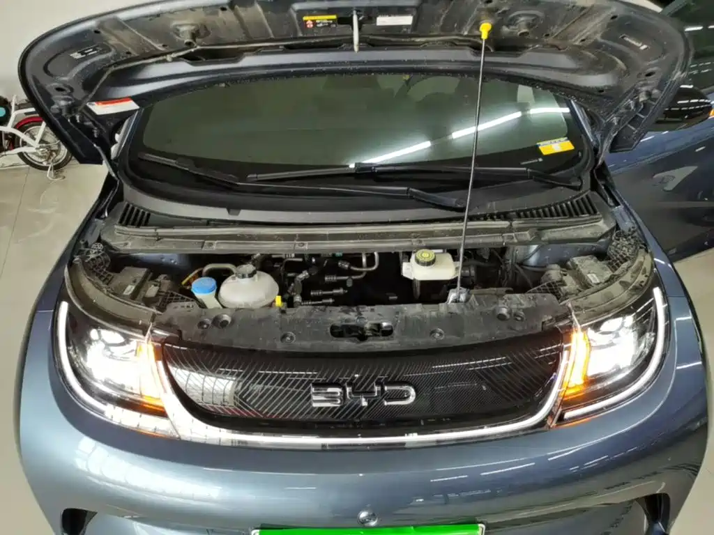 BYD Dolphin 2026 2025 420km Freedom Edition