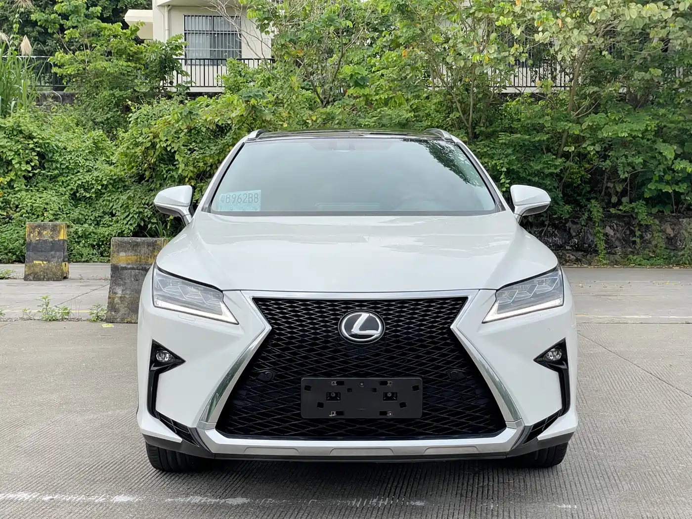 Lexus RX 2016 300 4WD Elegance Edition (China V) фото 2