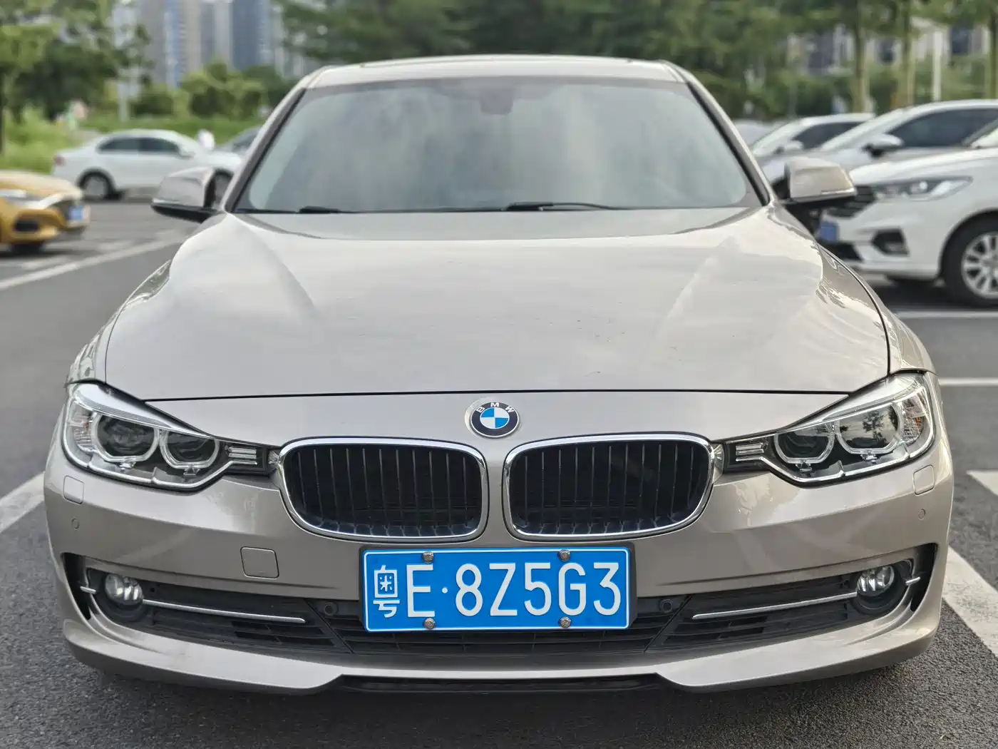 BMW 3 Series 2014 320Li Fashion фото 2