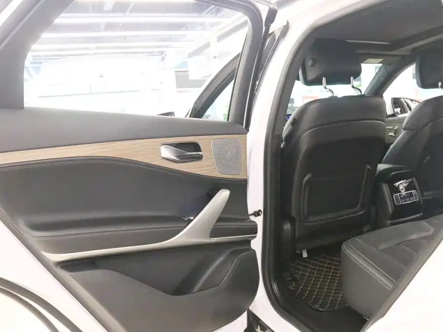 Denza X 2021 2020 Model PHEV Flagship Edition