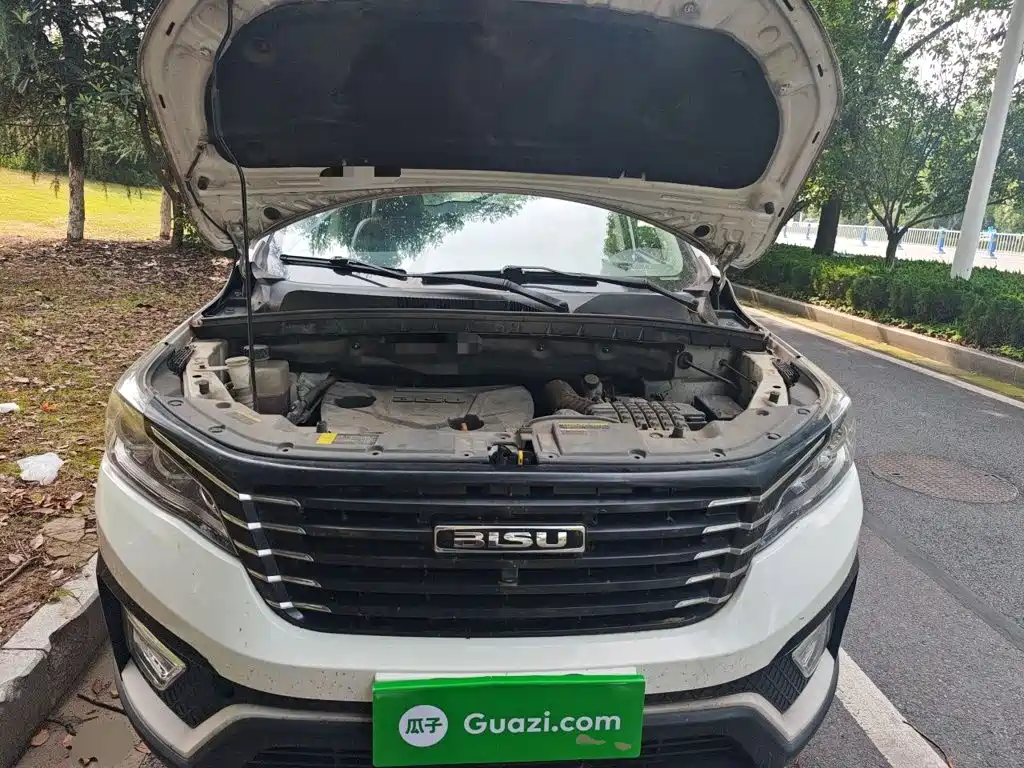 Bisu Auto Bisu T5 2017 2017 1.5T Manual Luxury