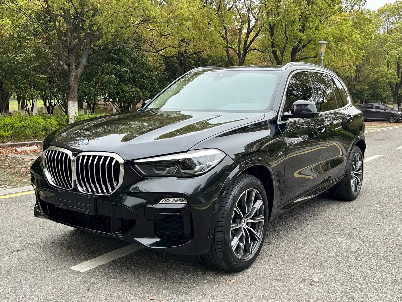 BMW X5 (Import) 2021 Facelift xDrive30i M Sport Package