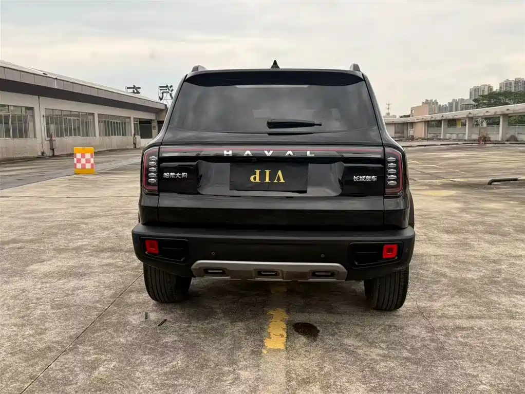 HAVAL BIG DOG