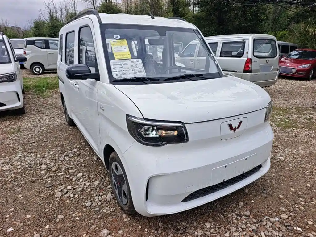 Wuling Motors Wuling Zhiguang NEV 2026 2025 Model 305km Base Version