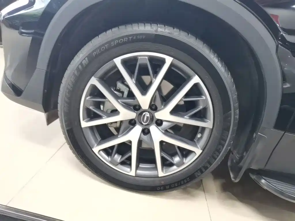 GAC Trumpchi Trumpchi GS8 2024 Navigator Series 2.0TGDI 2WD Luxury Smart Connect Edition фото 23