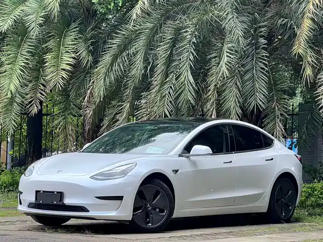 Tesla Model 3 (Import) 2019 Standard Range RWD Upgraded Edition